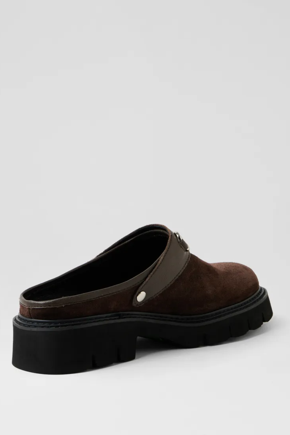 MOLLINI | KREPE - DARK CHOCOLATE