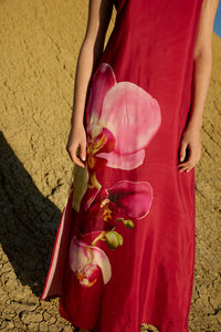 Aston Studio | Poppy Dress - Redcurrant Phalae