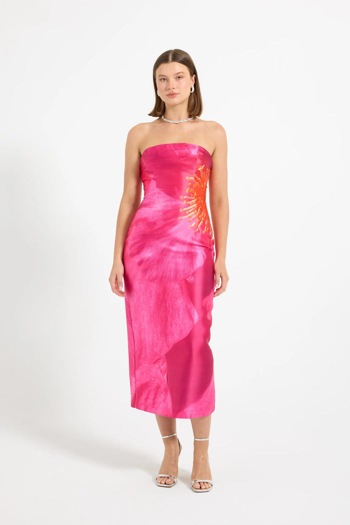 Pasduchas | Thea Fitted Midi - Pink Camellia